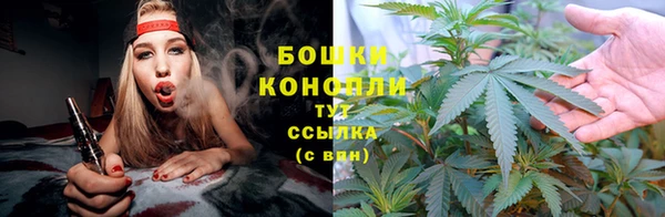 мяу мяу мука Карталы