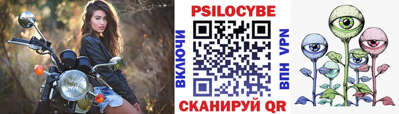 Галлюциногенные грибы GOLDEN TEACHER  Купить  Цоци-Юрт 